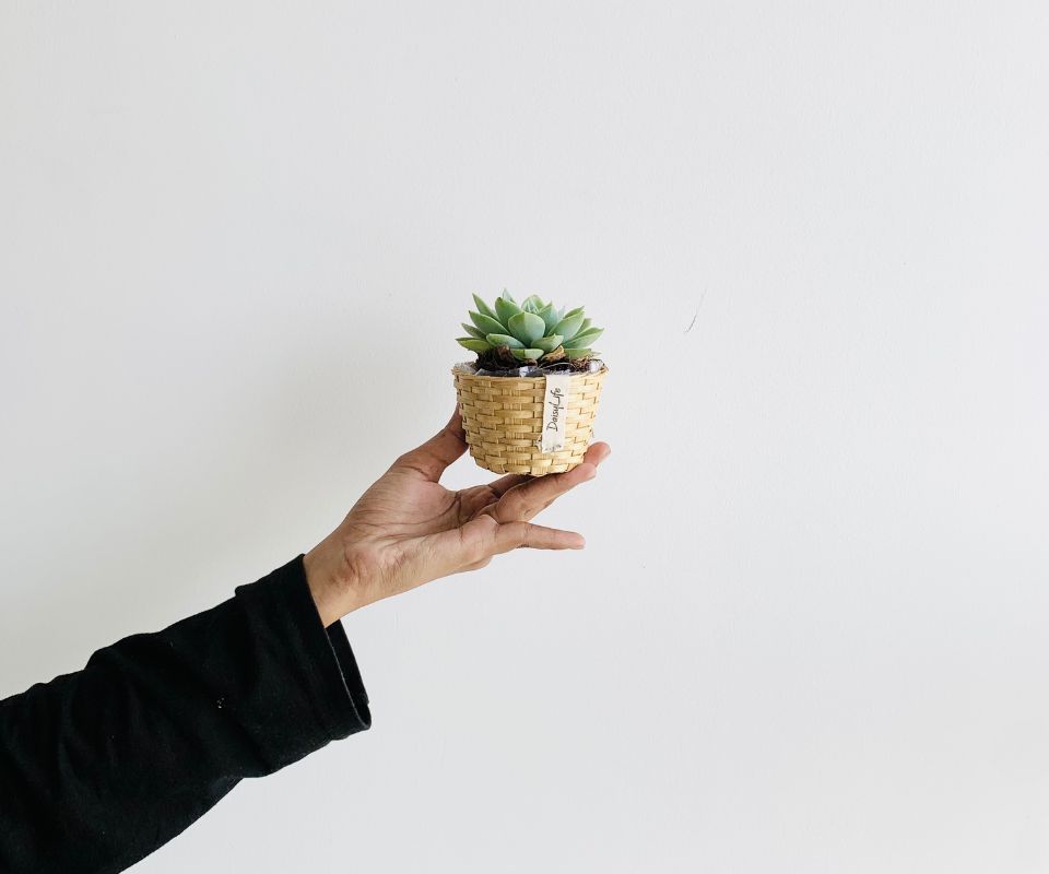 A poem every week – Email Subscription