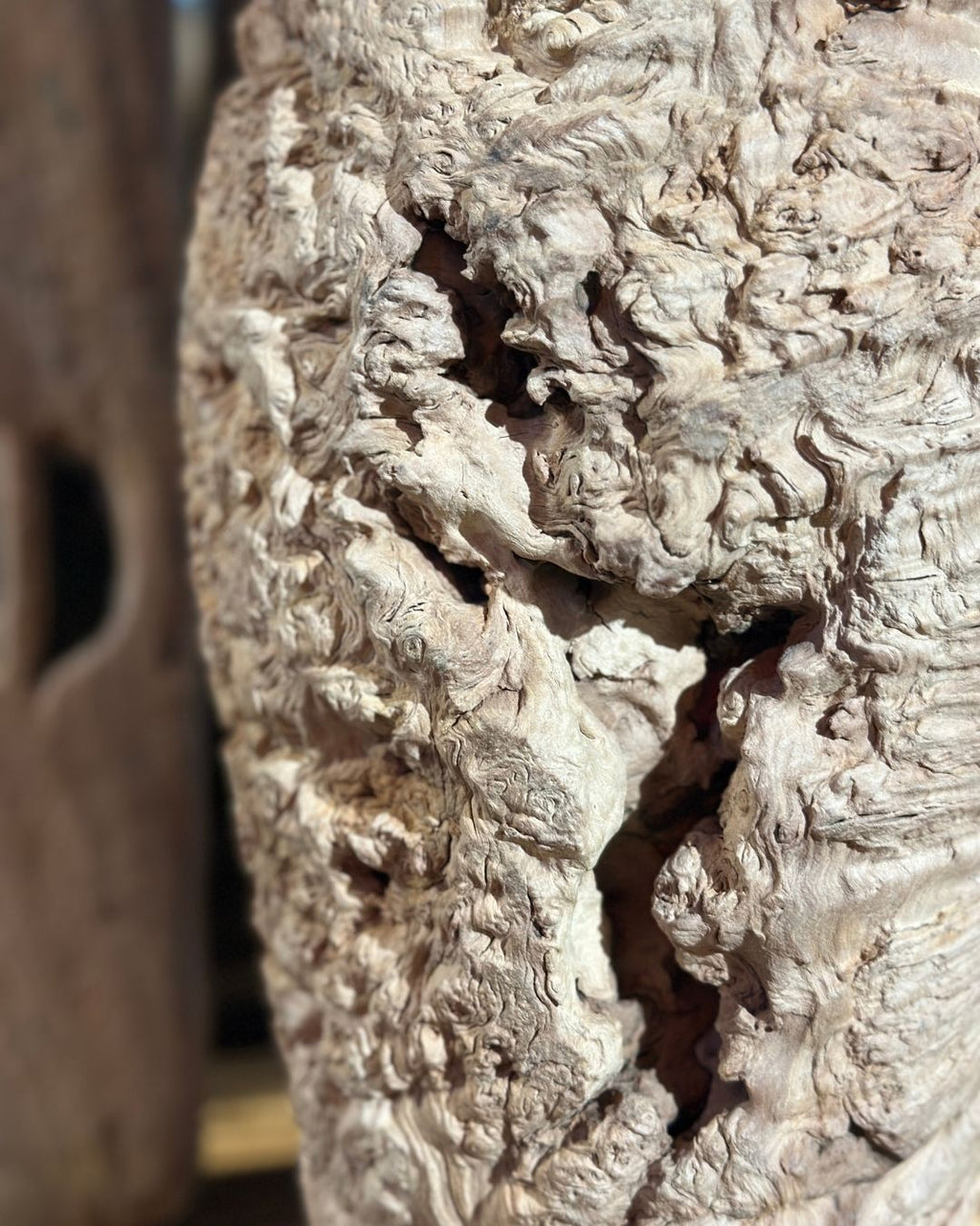 Item DXD-WVH1272-9109