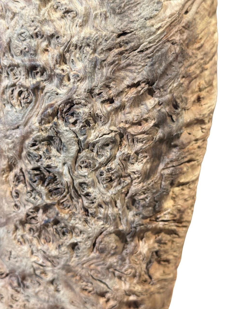 Item DXD-WVH1272-9109