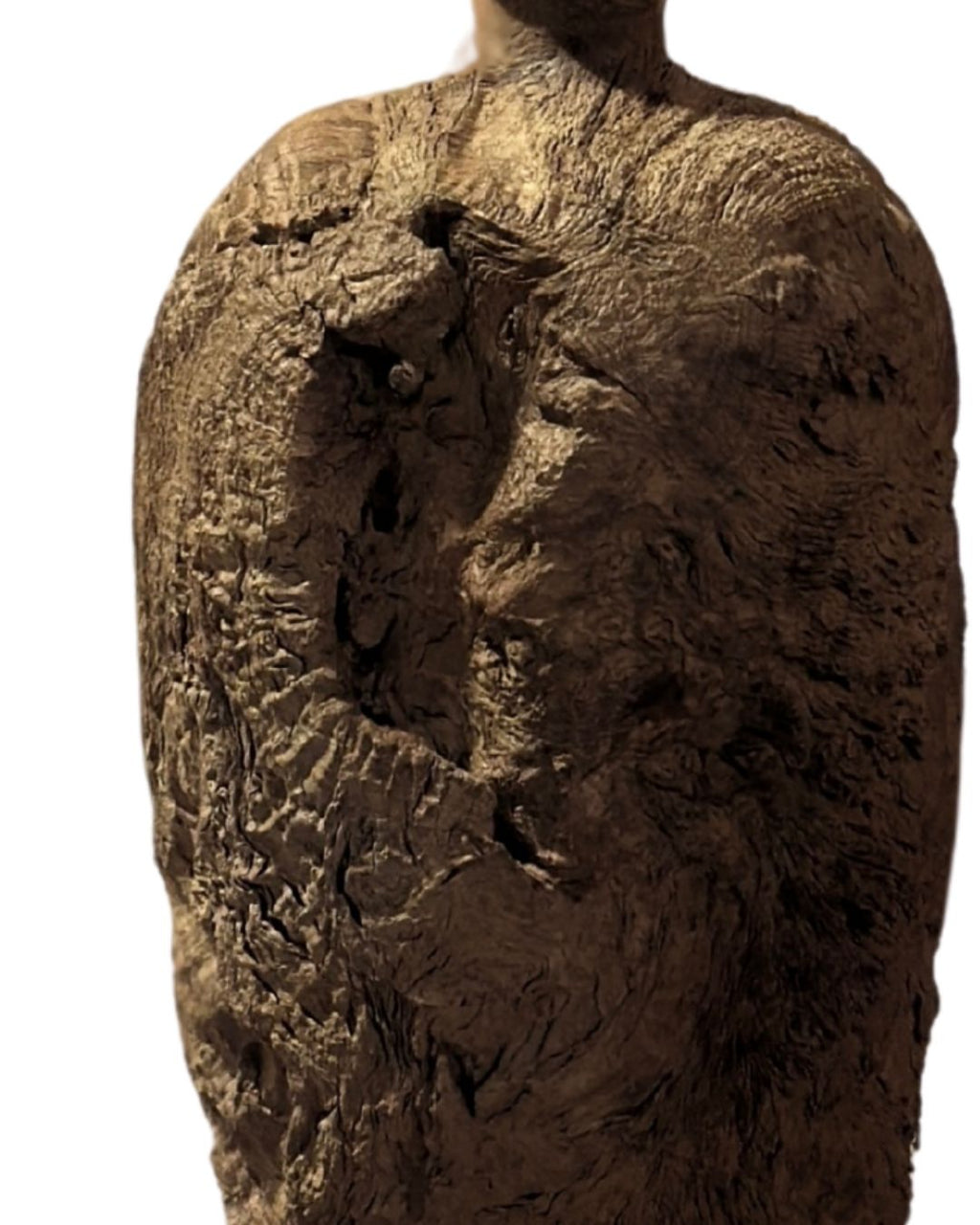 Item DXD-WVH1272-9108