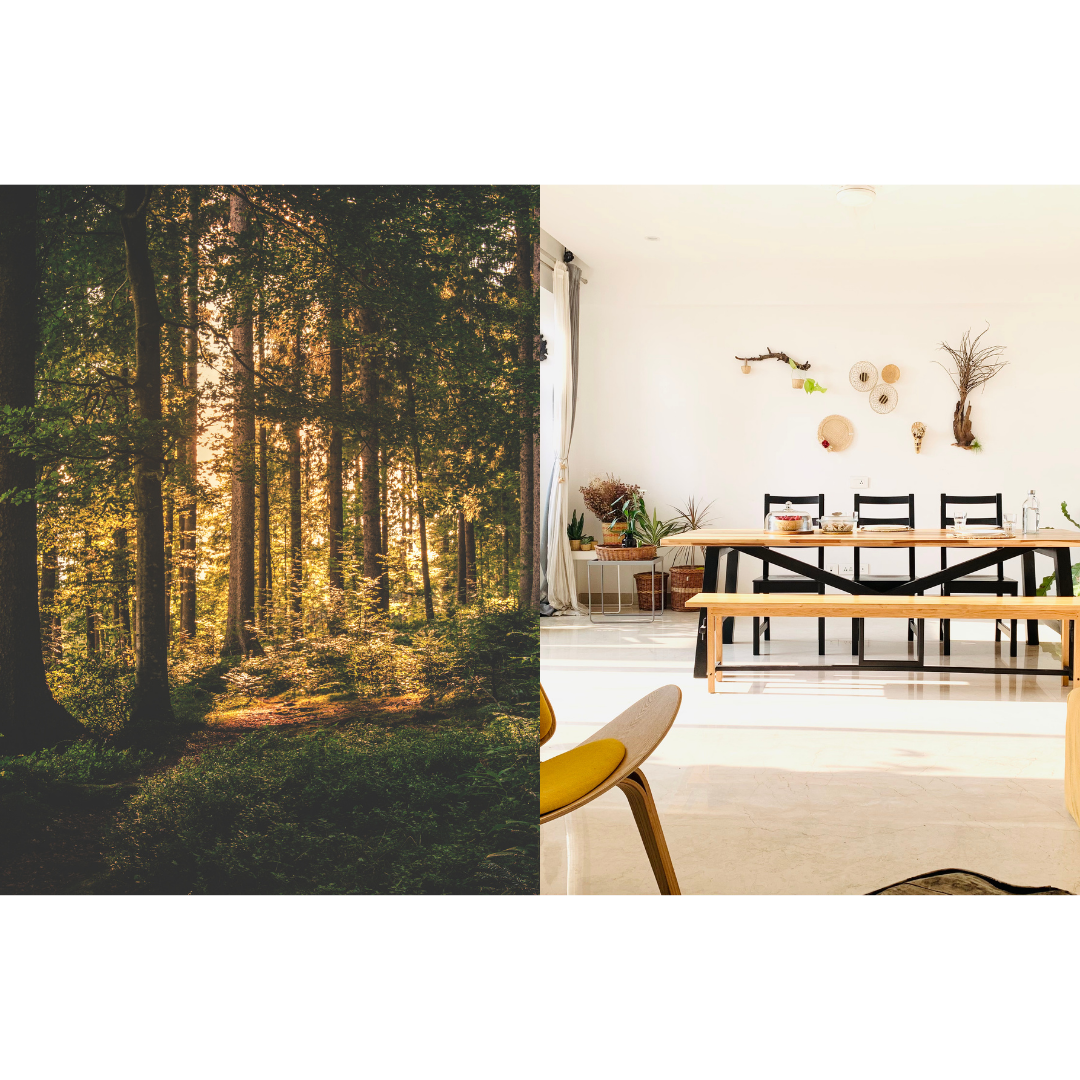 'Forest Living'